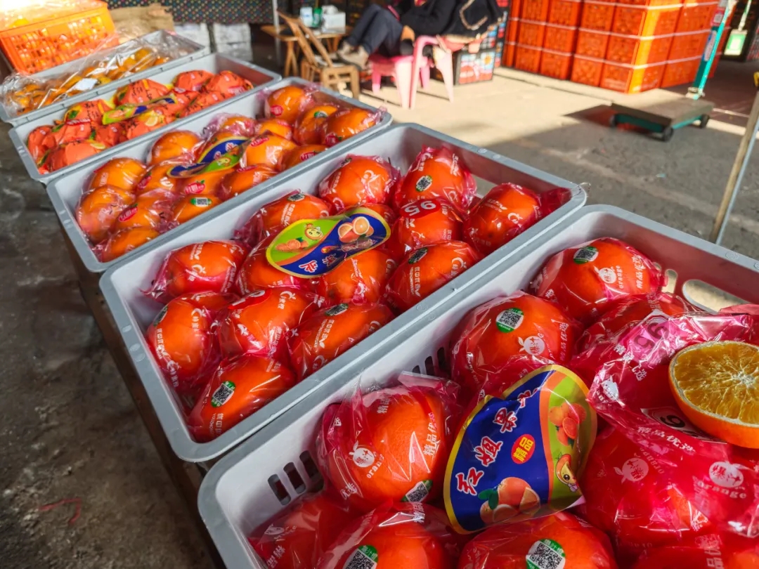 11月水果篇 | 深秋“果”力全开，解锁你的甜蜜密码