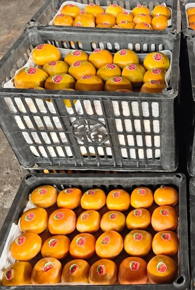 11月水果篇 | 深秋“果”力全开，解锁你的甜蜜密码