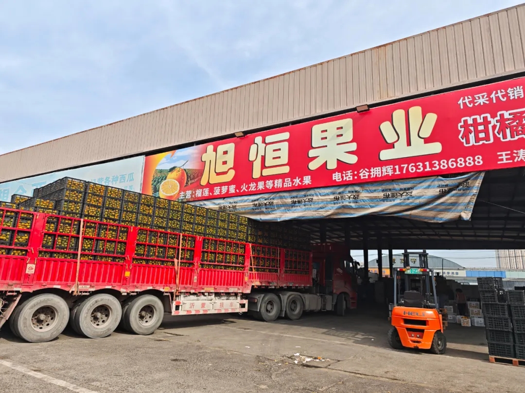 科技赋能!自动分拣生产线“搬”进市场 科技赋能!自动分拣生产线“搬”进市场