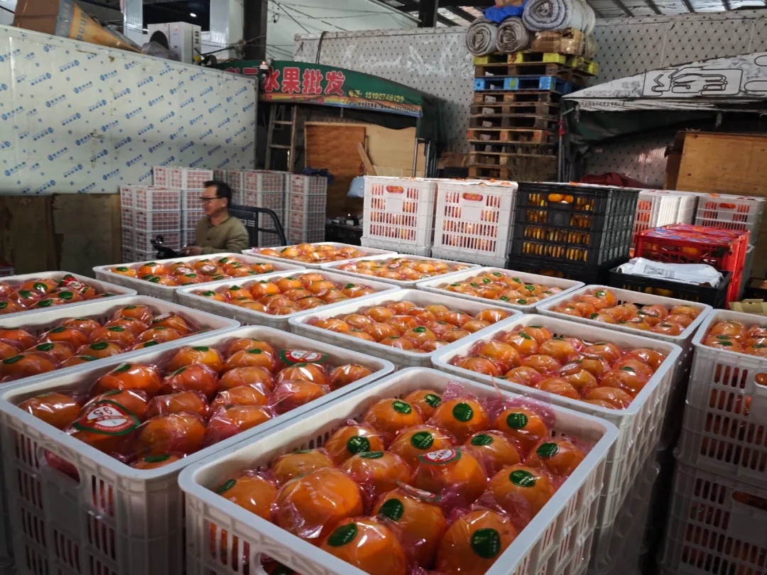 初冬的第一口甜，从赣南脐橙开始！