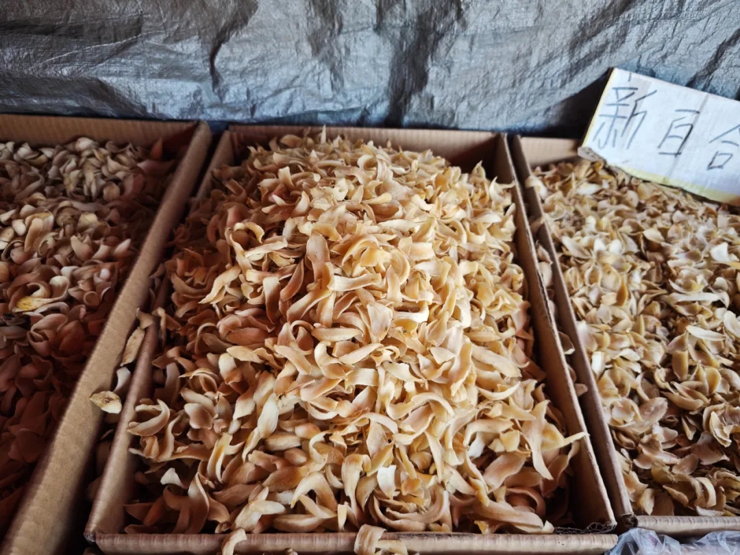 秋冬滋补“神仙打架”，你该选哪个？