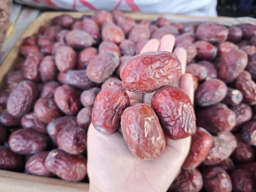 秋冬滋补“神仙打架”，你该选哪个？