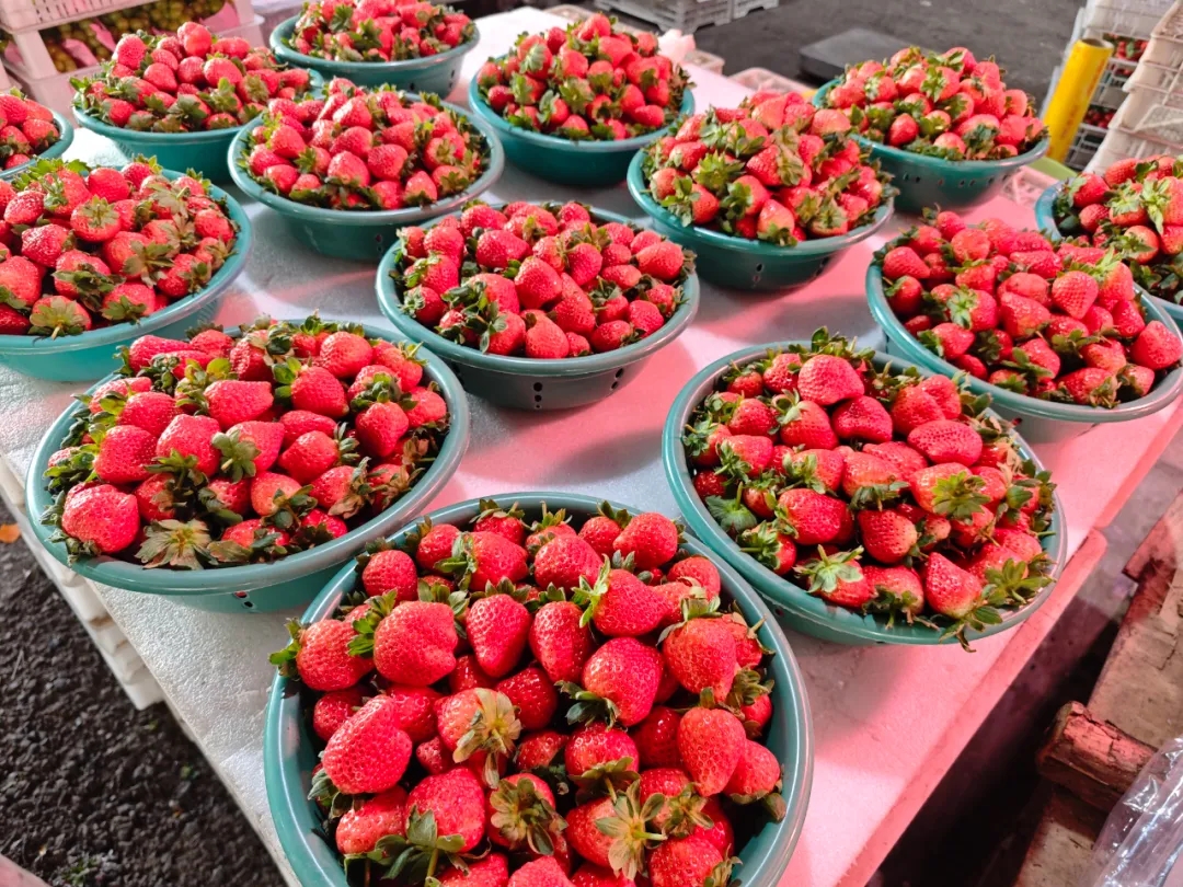 抢“鲜”尝！今年第一批草莓来啦，这里买→
