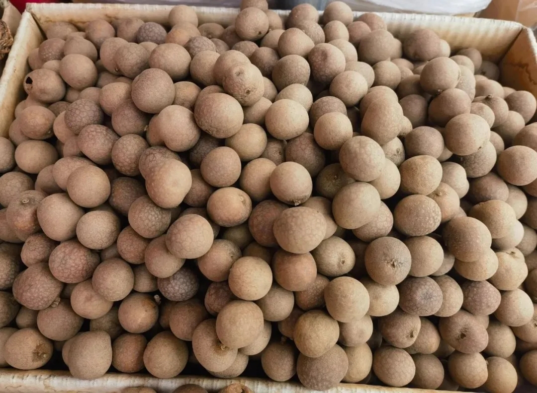 秋冬滋补“神仙打架”，你该选哪个？