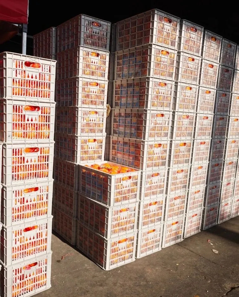 初冬的第一口甜，从赣南脐橙开始！