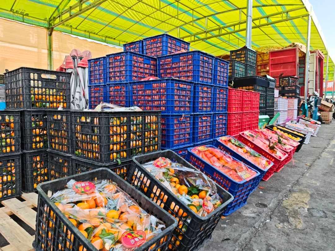 11月水果篇 | 深秋“果”力全开，解锁你的甜蜜密码