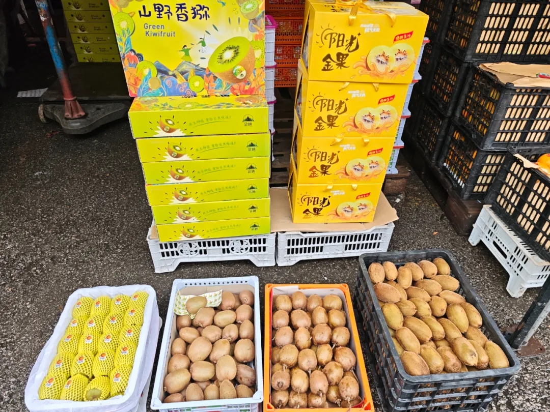 11月水果篇 | 深秋“果”力全开，解锁你的甜蜜密码