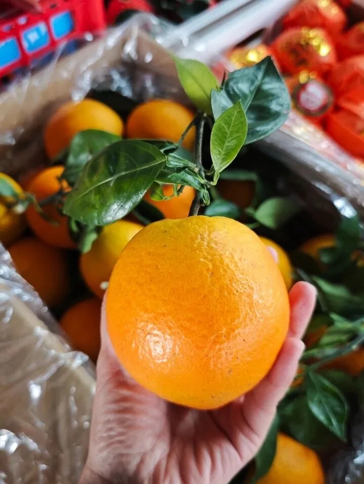 初冬的第一口甜，从赣南脐橙开始！