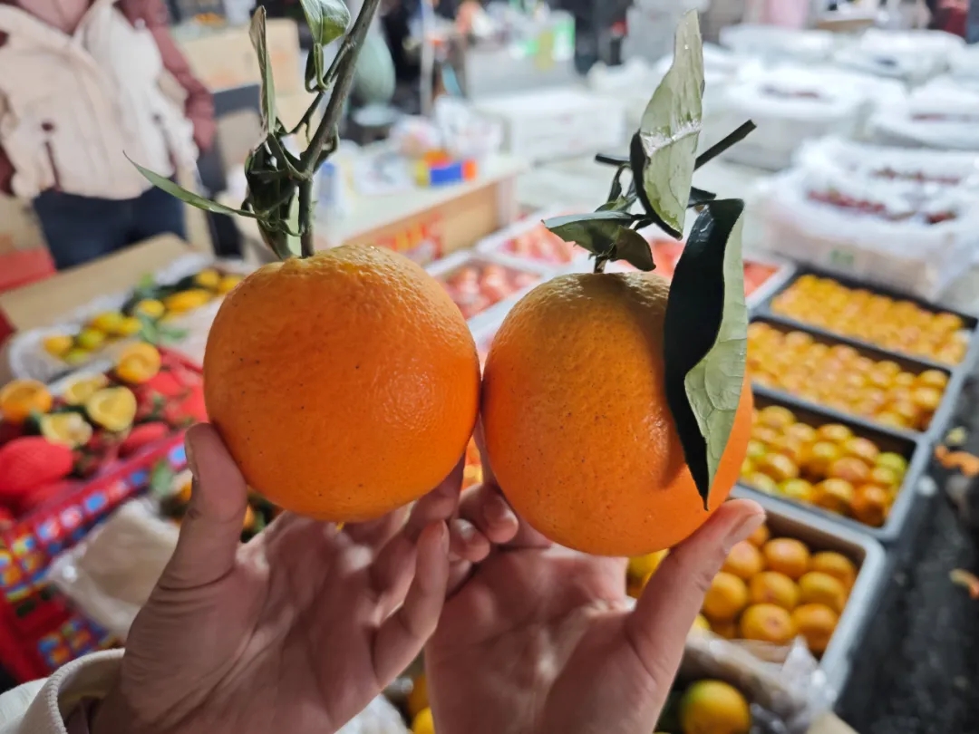 初冬的第一口甜，从赣南脐橙开始！
