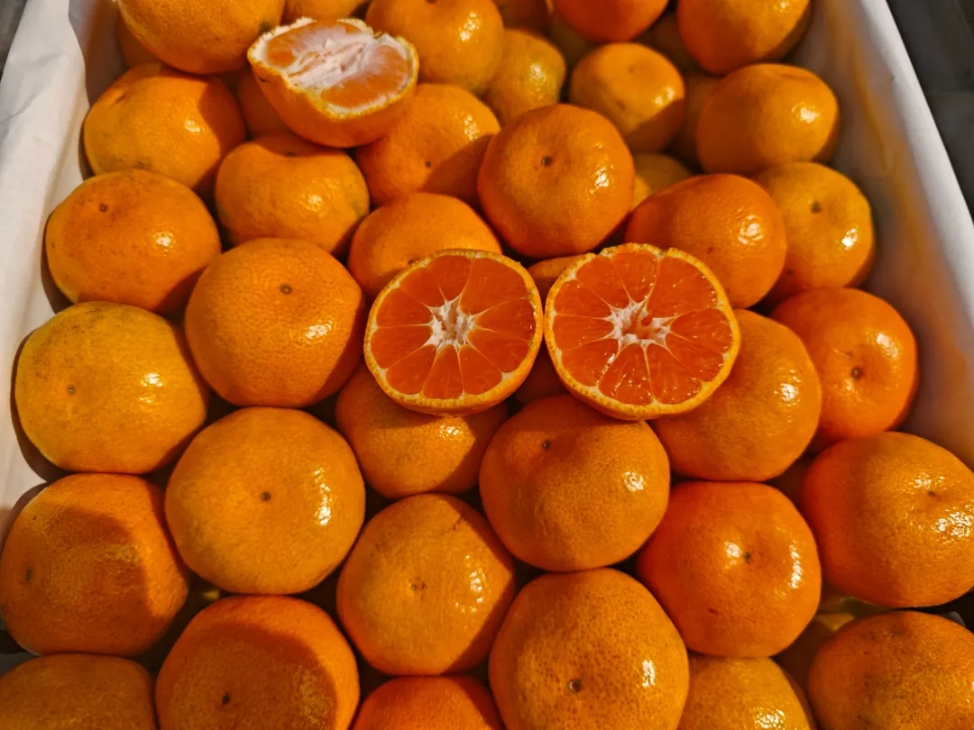 科技赋能!自动分拣生产线“搬”进市场 科技赋能!自动分拣生产线“搬”进市场