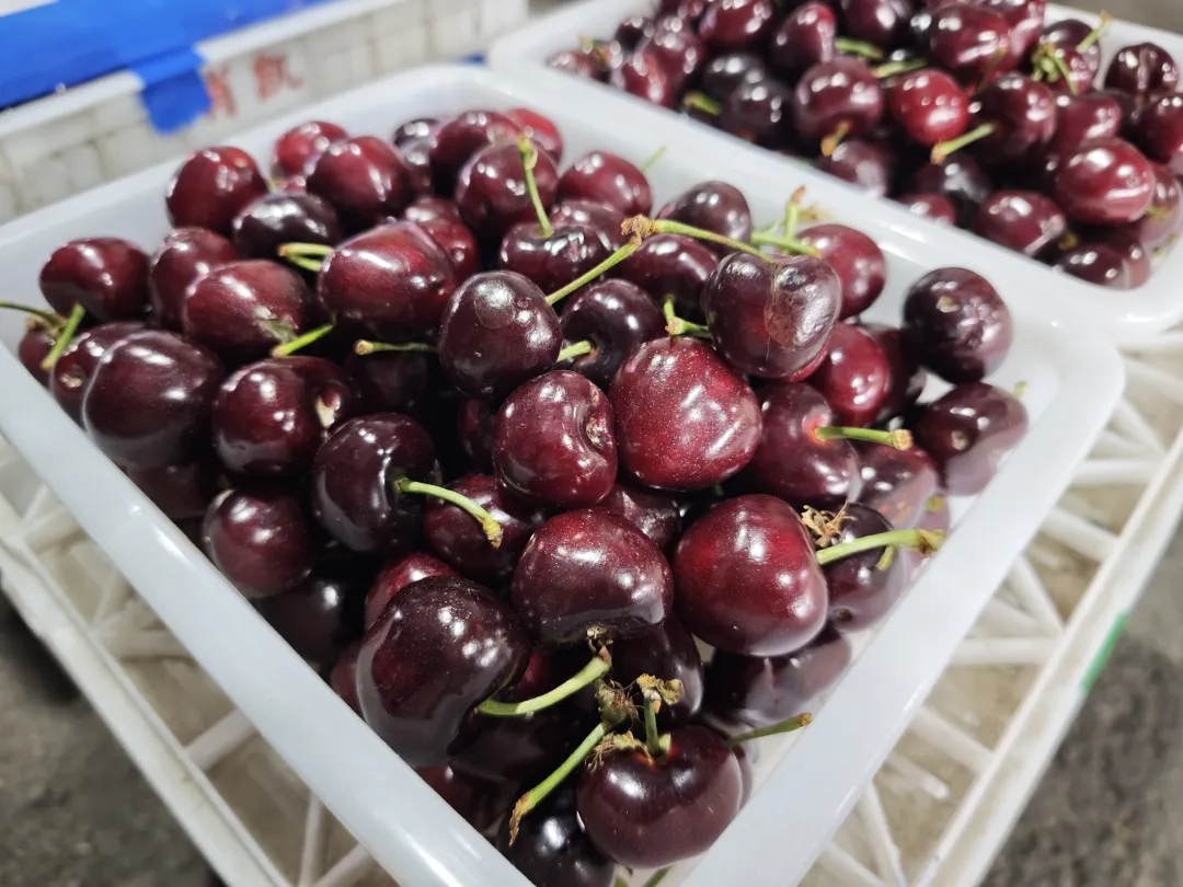 【寻鲜记】这些水果正当时！