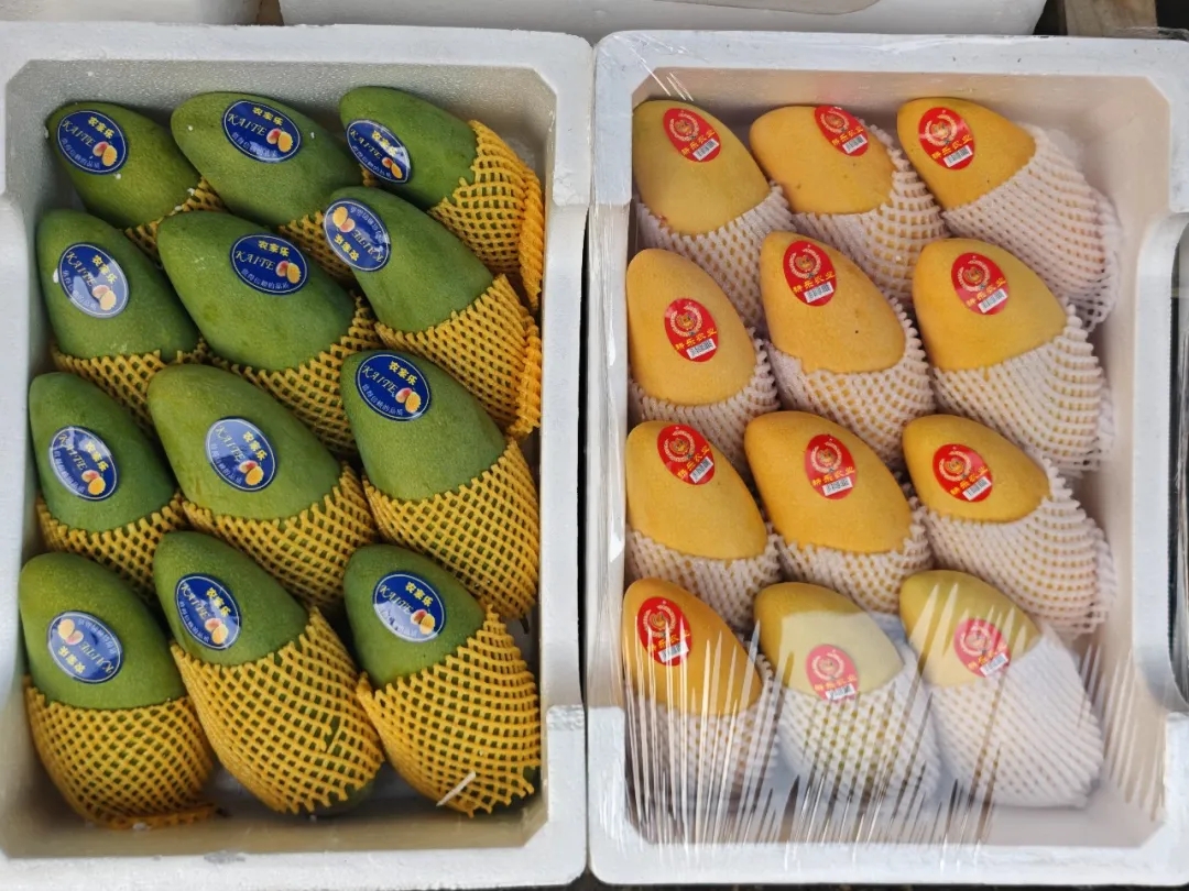 ​芒香满溢！这份春日限定的甜蜜，一口沦陷