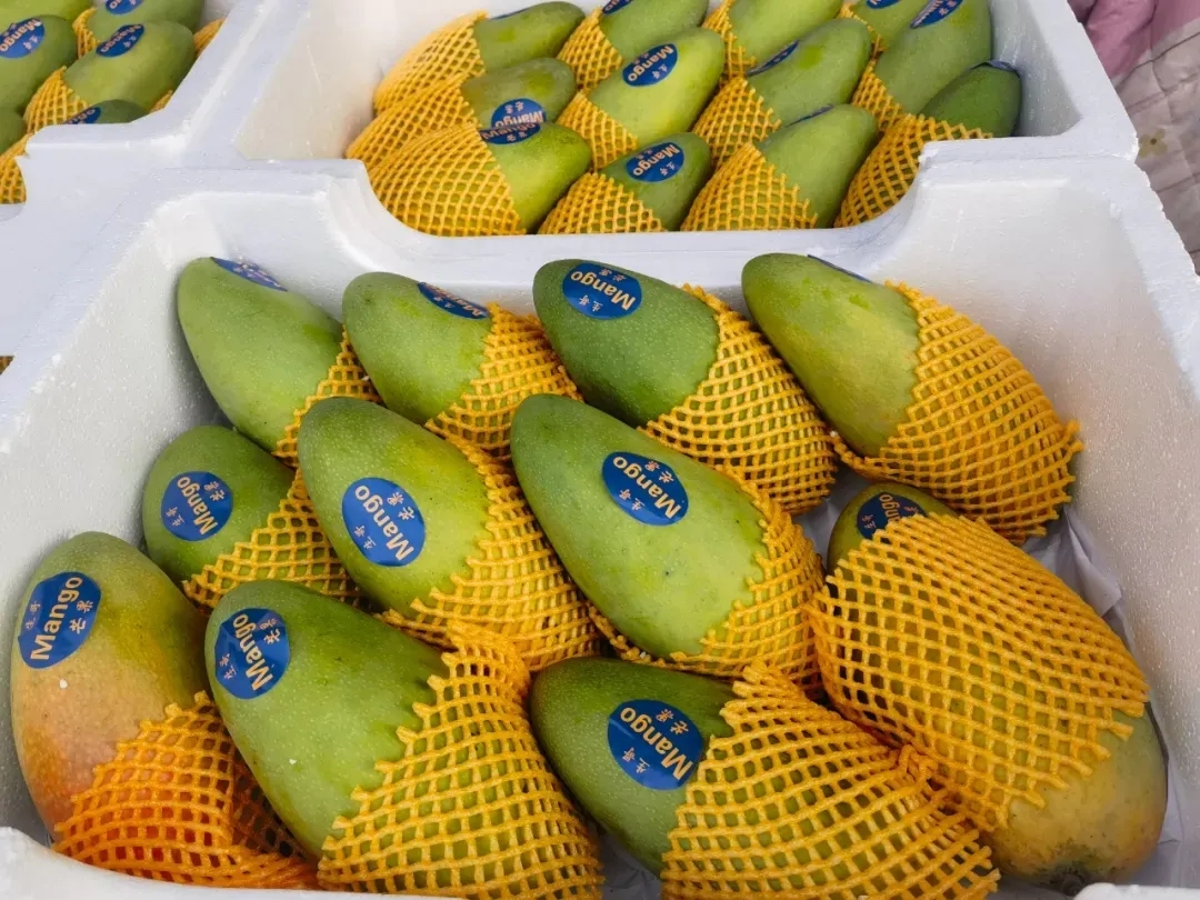 ​芒香满溢！这份春日限定的甜蜜，一口沦陷