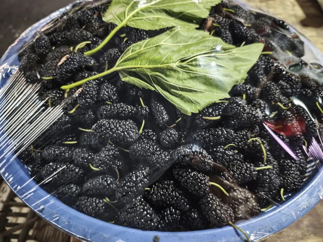 【寻鲜记】这些水果正当时！