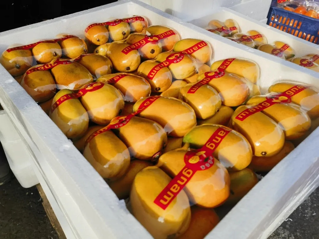 【寻鲜记】这些水果正当时！