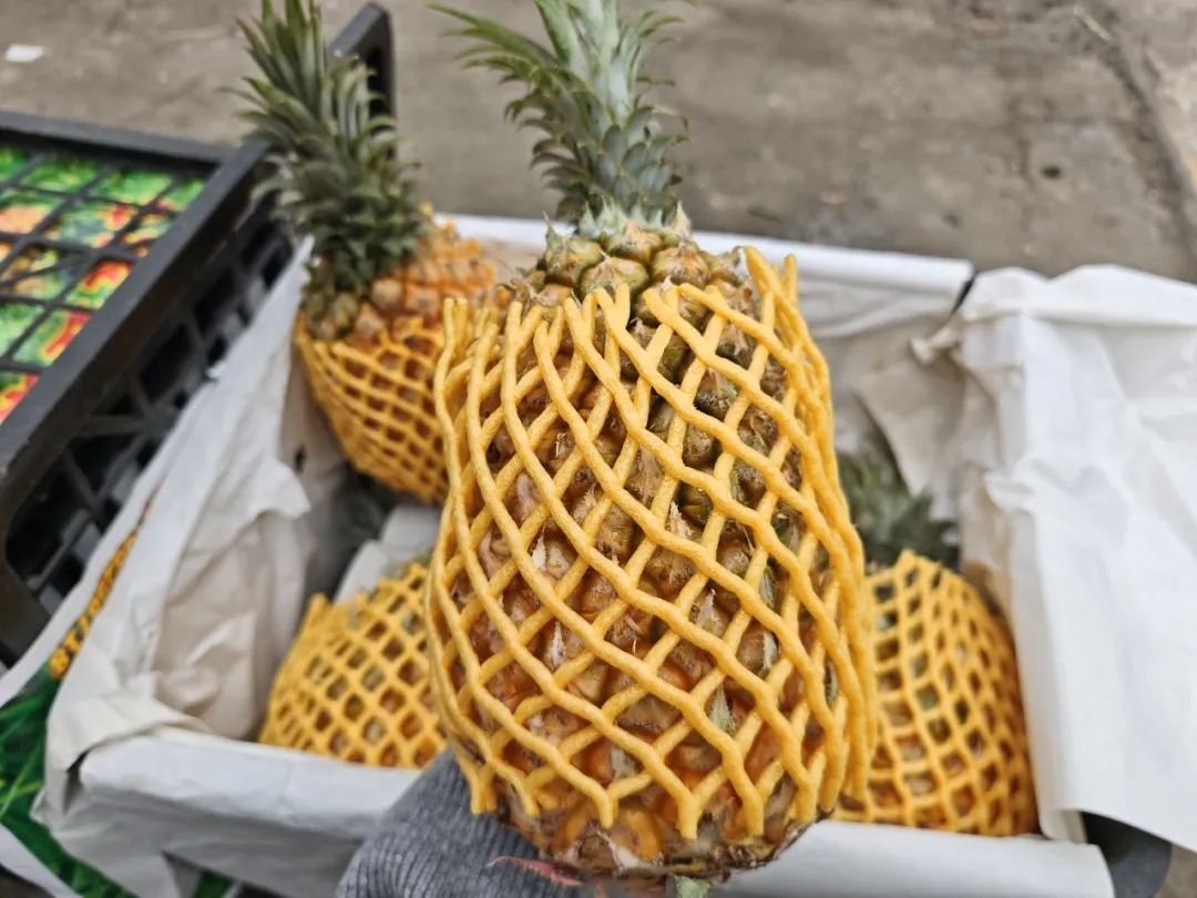 【寻鲜记】这些水果正当时！