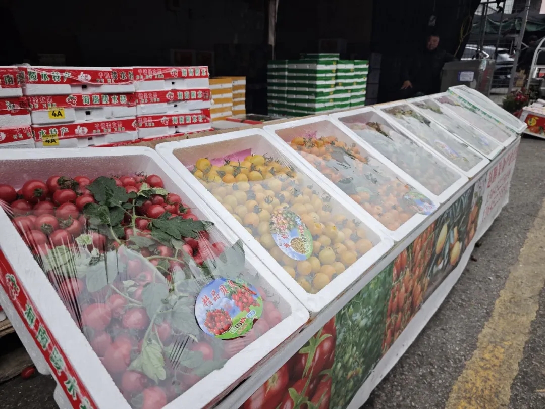 【寻鲜记】这些水果正当时！