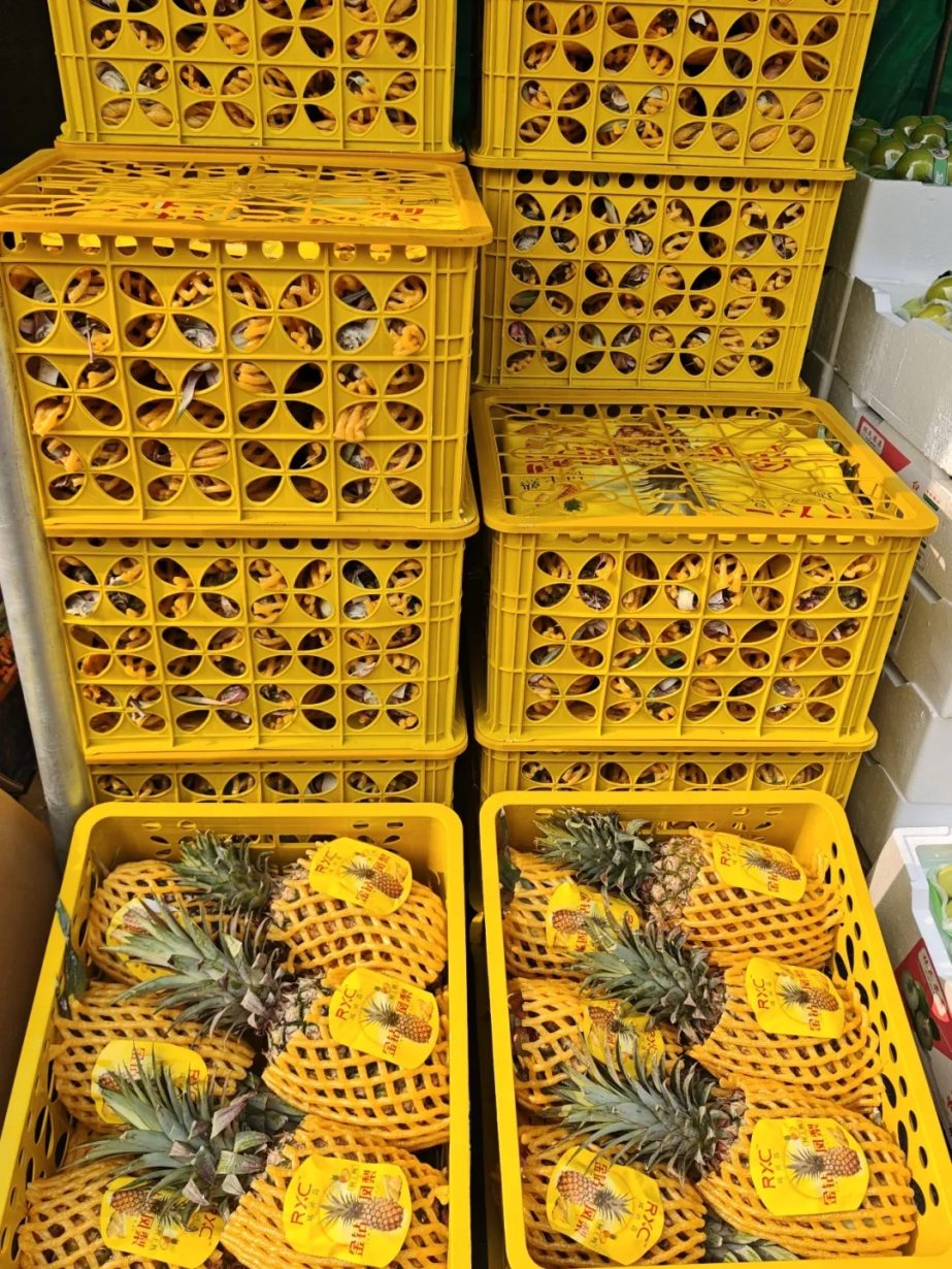 【寻鲜记】这些水果正当时！