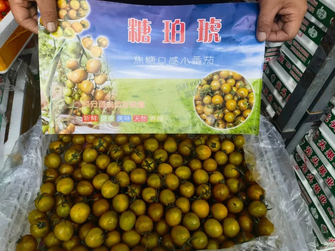 番茄季丨彩虹鲜果，扎堆徐州