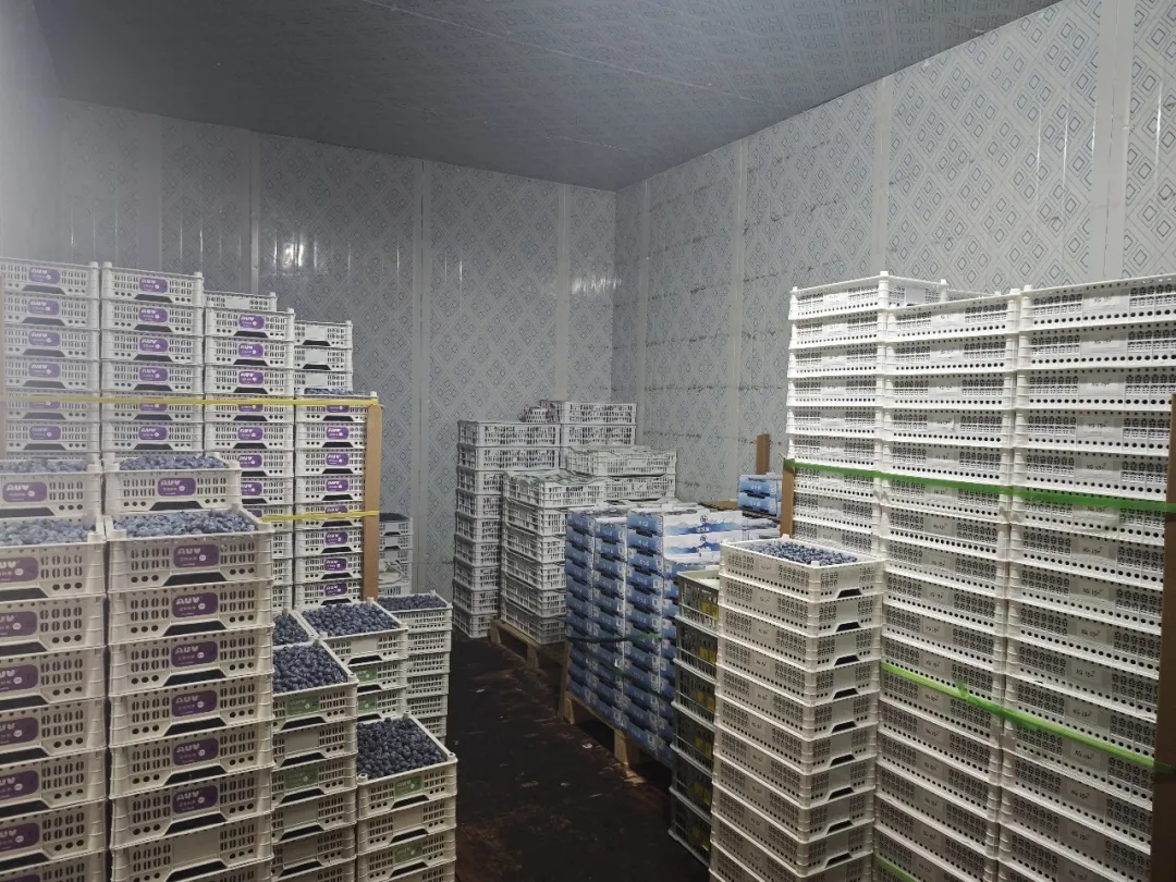 专业赋能，重塑流通配送新生态--七里沟市场为您解锁物流配送理想方案