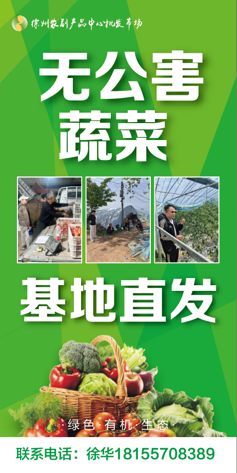 5月时令鲜蔬推荐 丨来自无公害蔬菜基地的自然馈赠 5月时令鲜蔬推荐 丨来自无公害蔬菜基地的自然馈赠