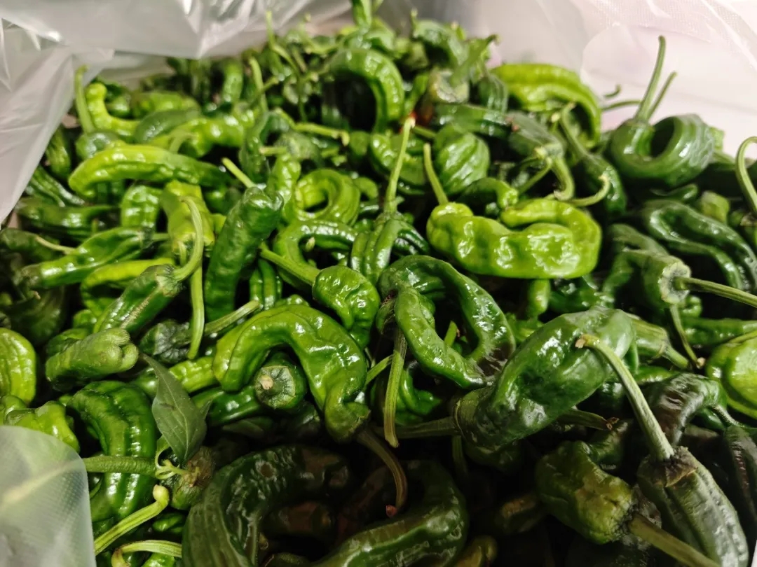 一口鲜辣入魂！这些辣椒你分得清吗？