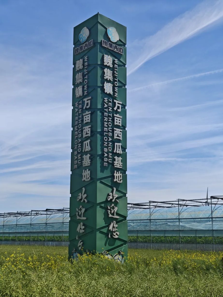 现场直击--无缝对接！田间舌尖两头连