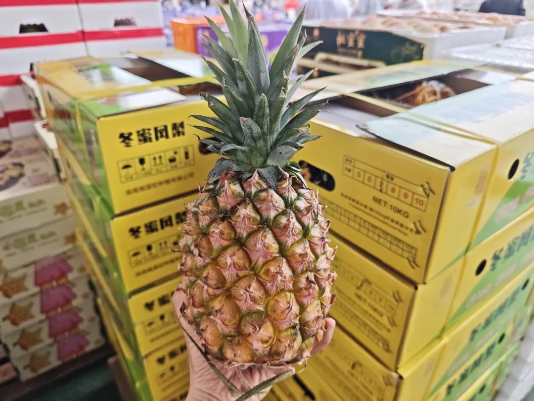 重磅新客入驻 | 全球好果汇聚，农批市场也能买出精品店的高级感！