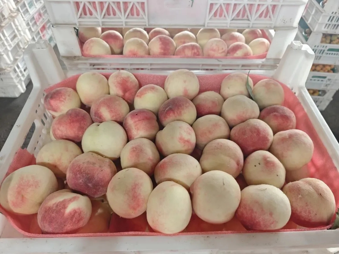 “桃”气满满！这个夏日限定果你吃了吗？