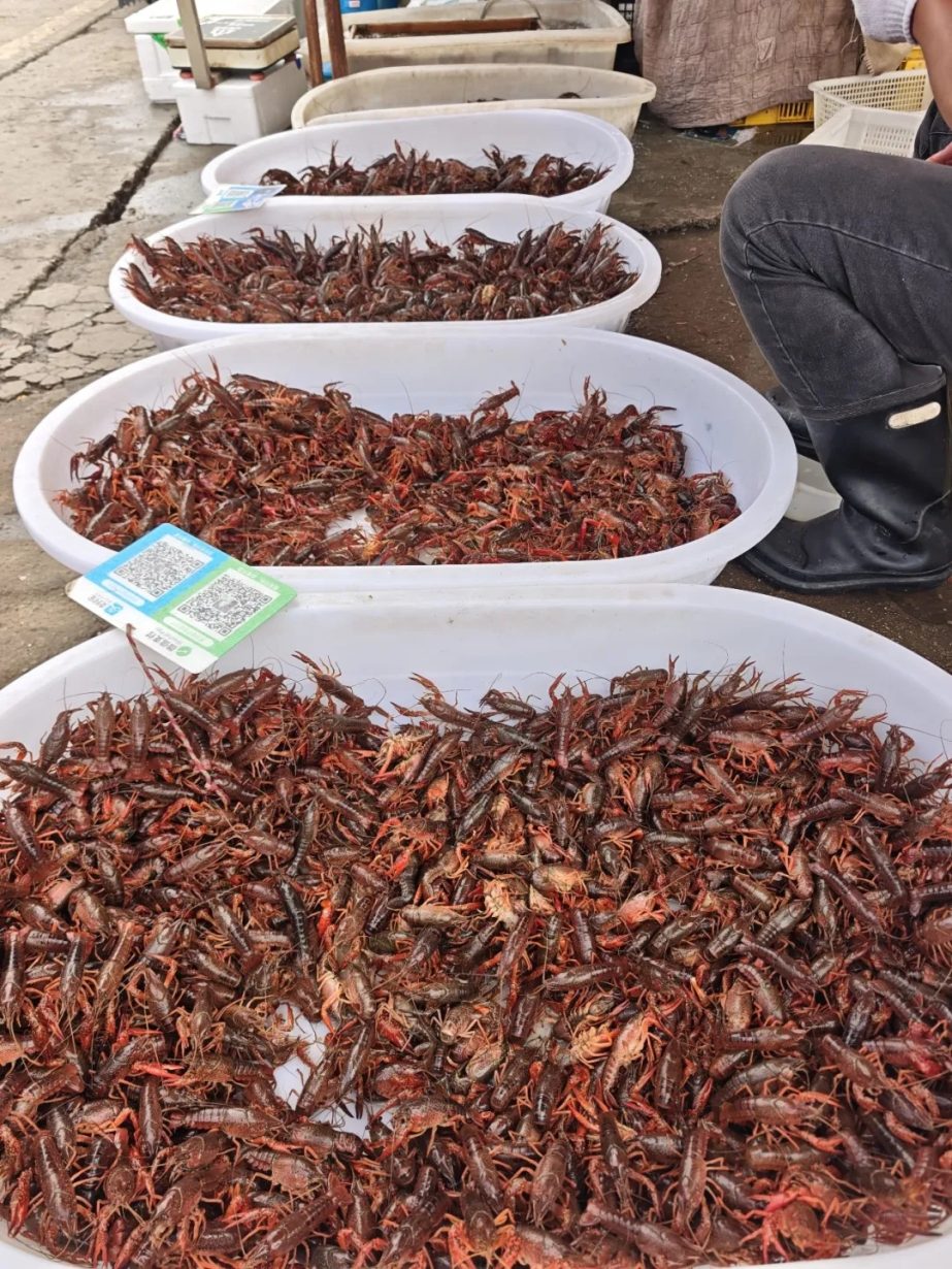 价格降至个位数！夏日顶流大量上市