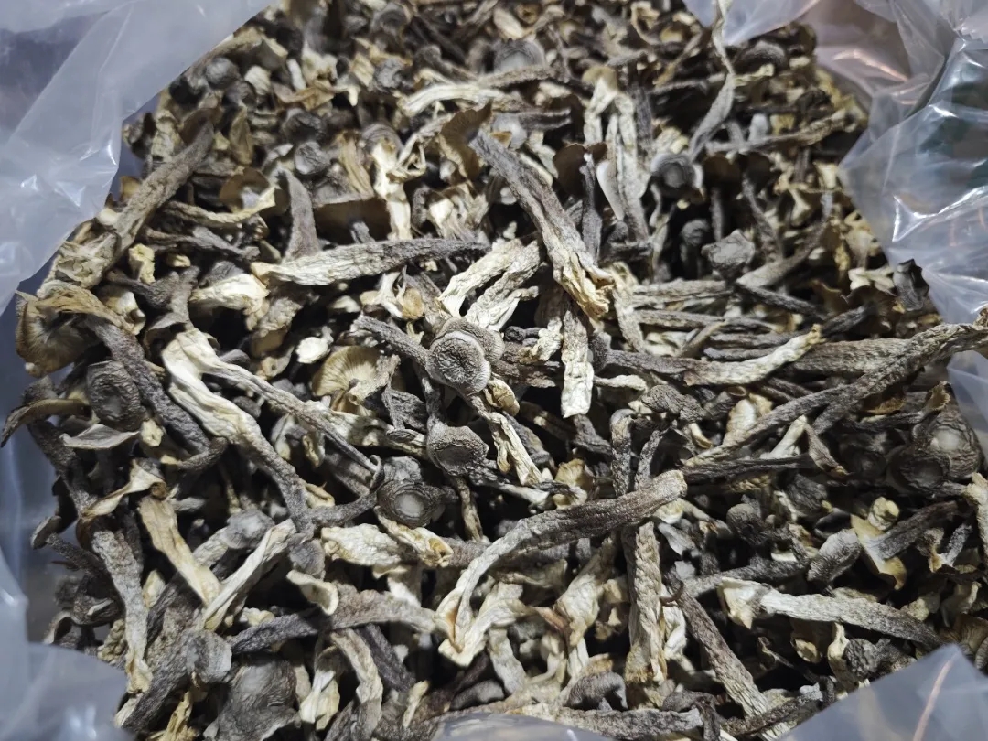 深耕菌菇源头！从黑土地到餐桌，我们只搬运正宗东北味！