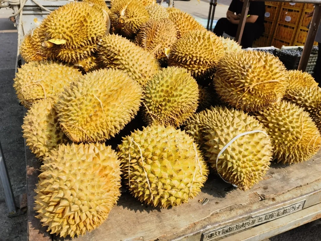 价格“崩了”！榴莲自由真的来了？！
